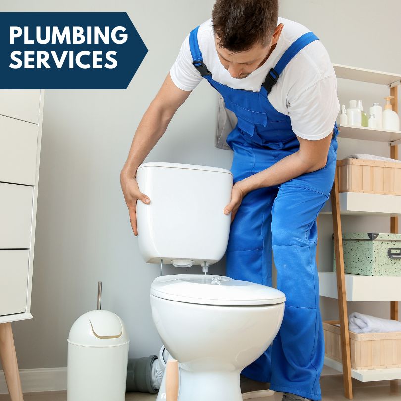 Plumbing Company in Loretto, MN